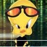 super::.. tweety matrix