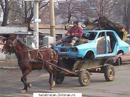 poze haioase dacia