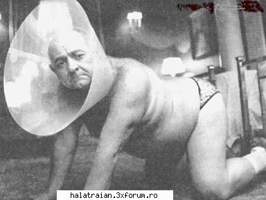 Poze Haioase - Ionutz - Album Foto